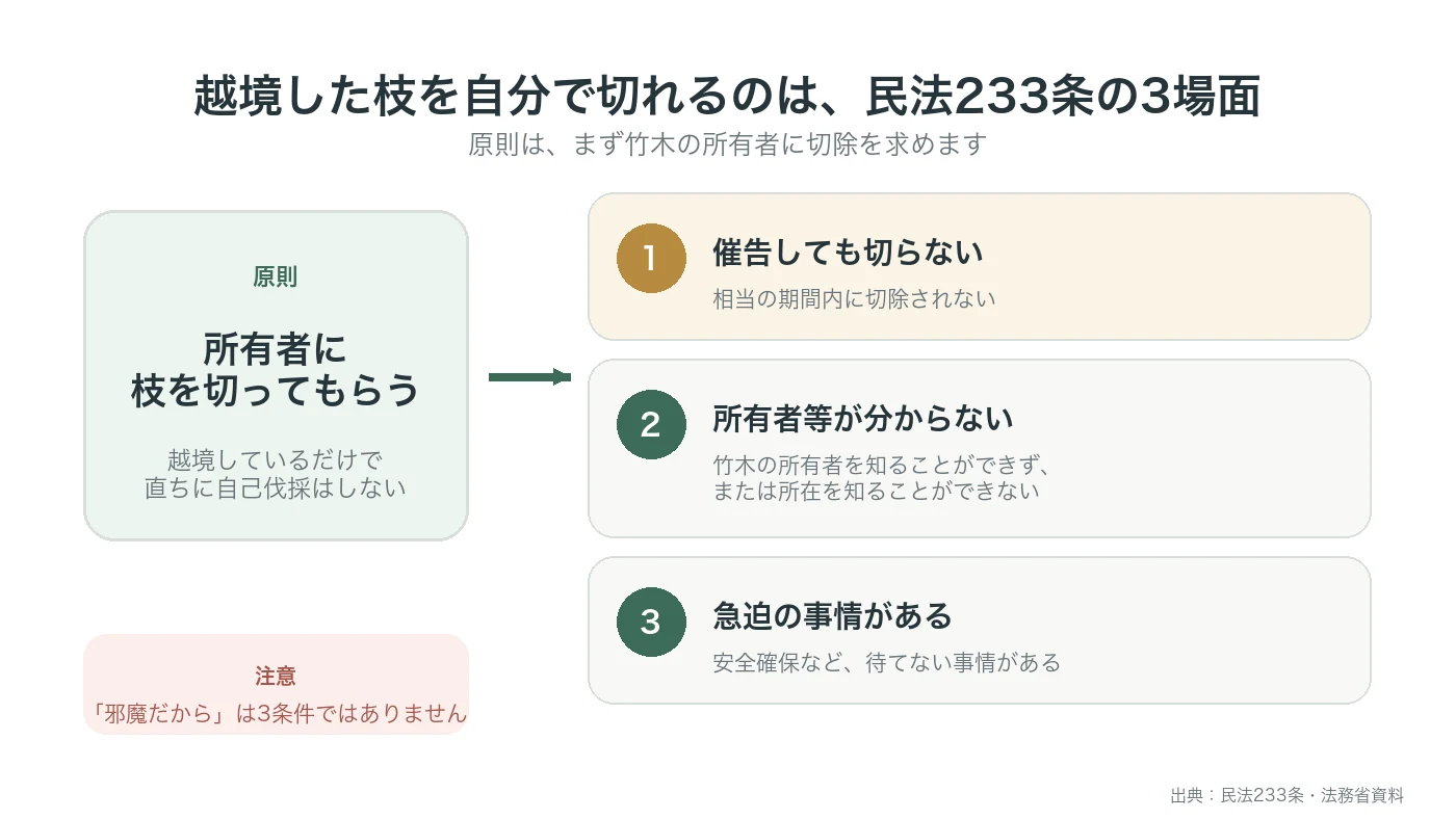 民法233条により越境した枝を土地所有者が自分で切れる3つの条件